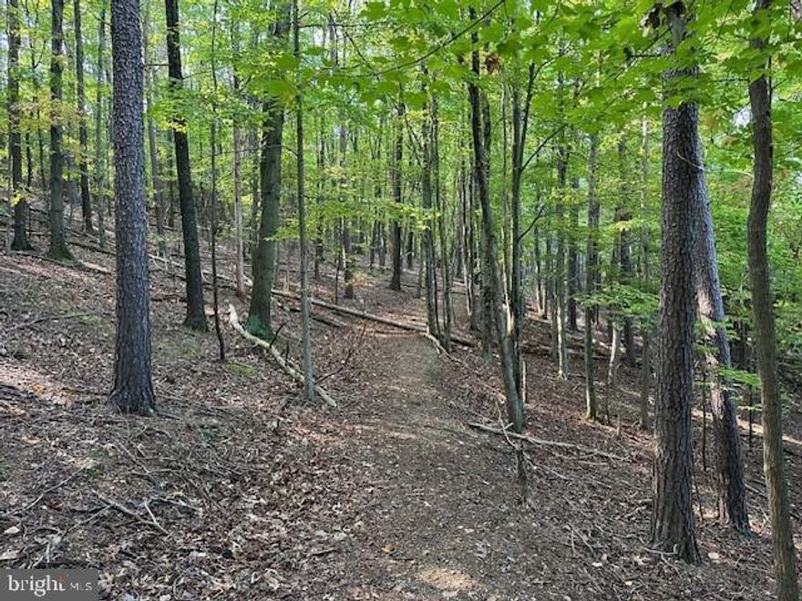 Prime 13.03-Acre Parcel Near Berkeley Springs, WV – Unlimited Potential! Discover the endless possibilities with this 13.03-acre wooded parcel just off Myers Road. With its natural, mountainous terrain, this property offers privacy, seclusion, and the perfect setting for a recreational retreat or a dream home. Unrestricted and offering access to public water, the land is ready for residential use, hunting, or future development. Conveniently located near Route 9 and the newly constructed bypass, you’ll enjoy easy access to the charming town of Berkeley Springs, as well as quick routes to I-81, Northern Virginia, and Washington, D.C. Whether you’re seeking a personal escape or considering its development potential, this rare parcel is an exceptional opportunity. Don’t miss out on this unique property – the possibilities are endless!