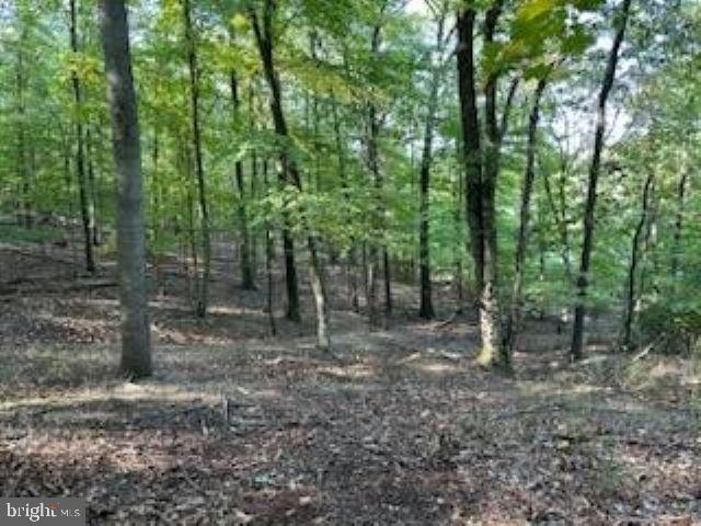 NONE AVAILABLE - Land