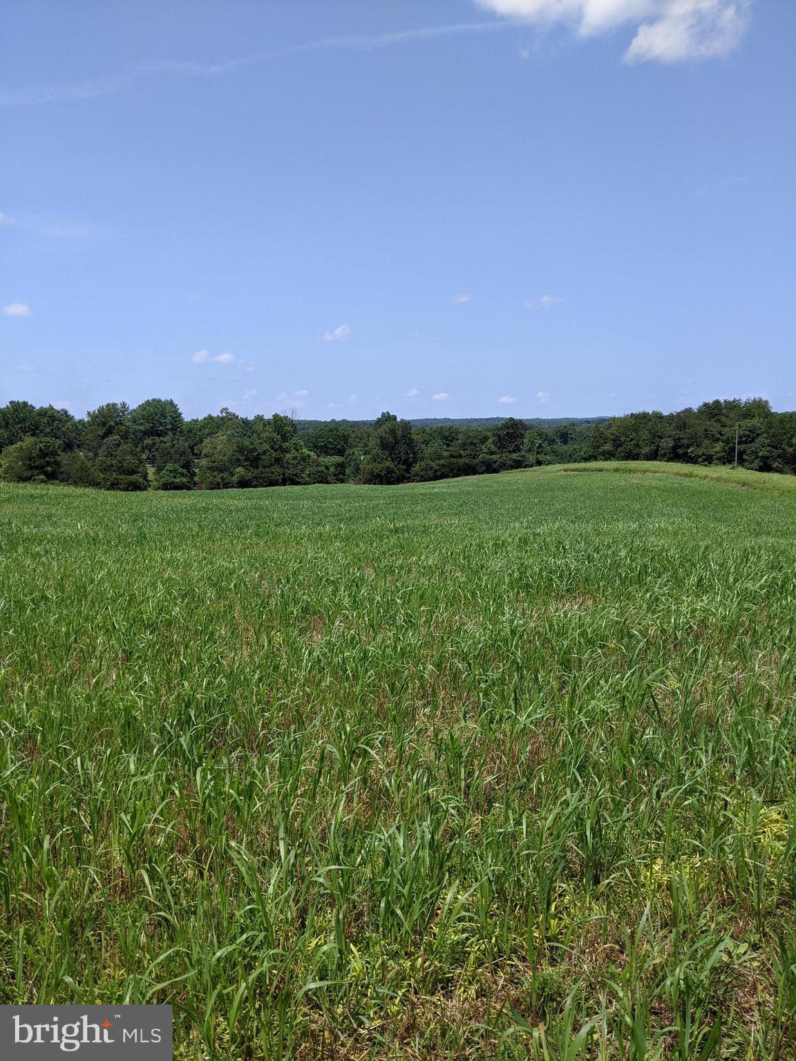 NONE AVAILABLE - Farm