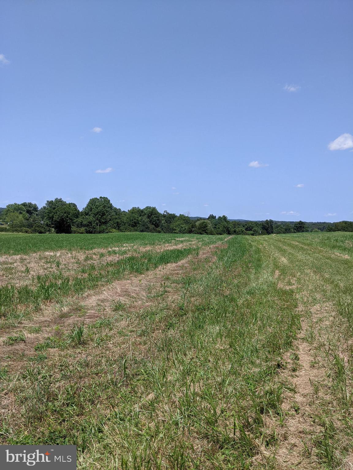 NONE AVAILABLE - Farm