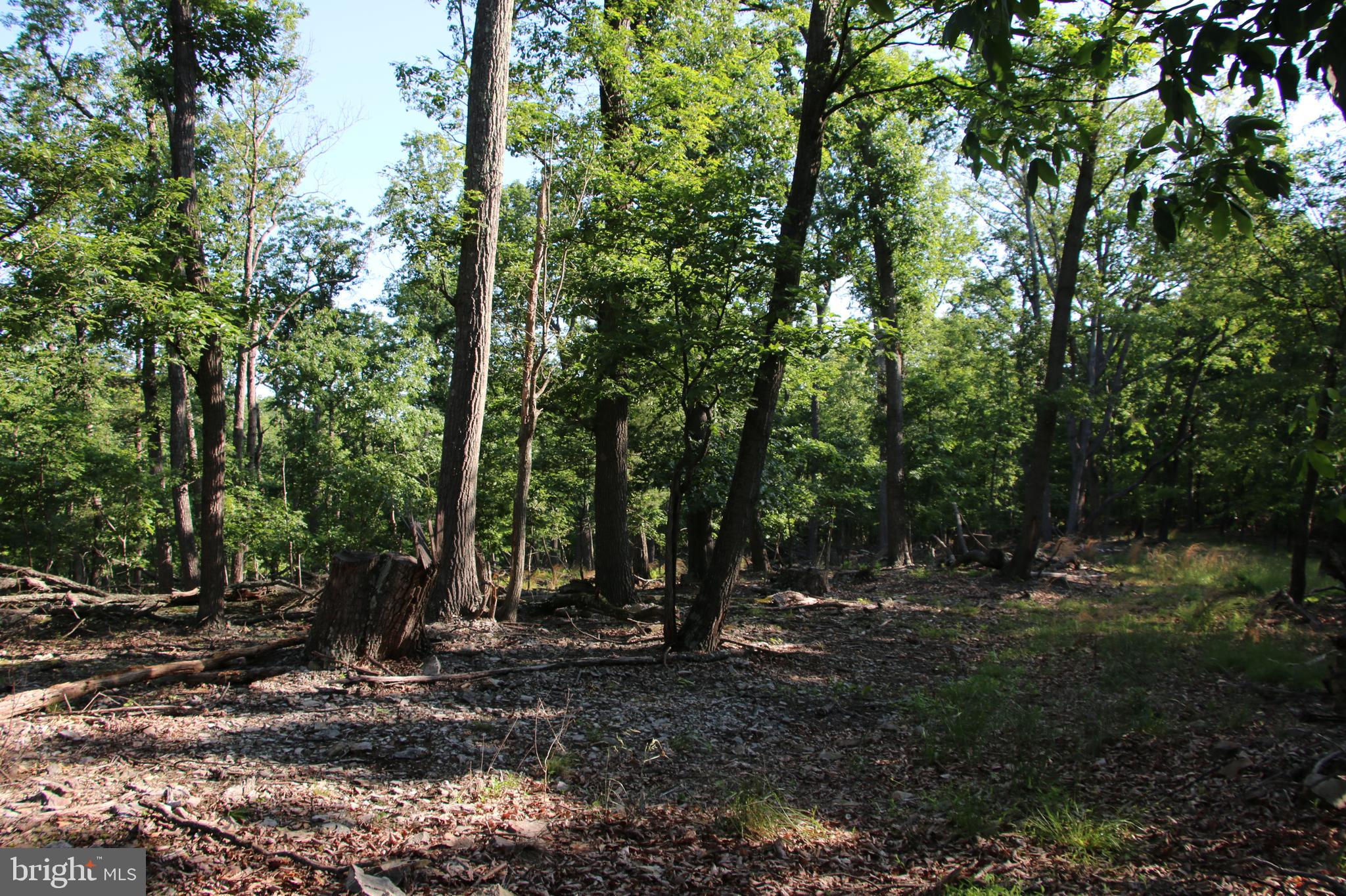 SILER HEIGHTS - Land