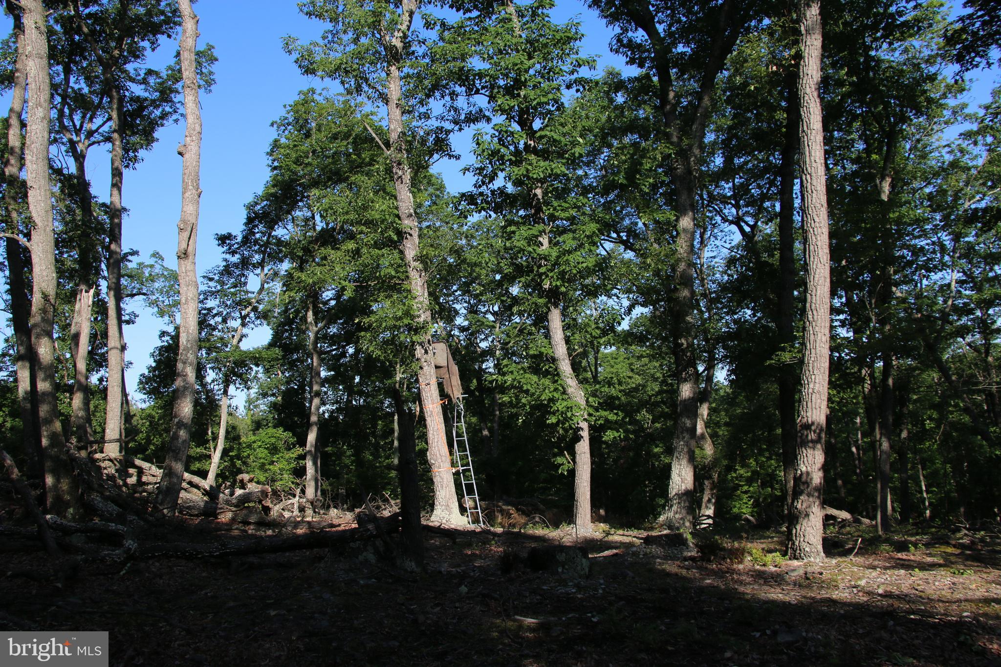 SILER HEIGHTS - Land