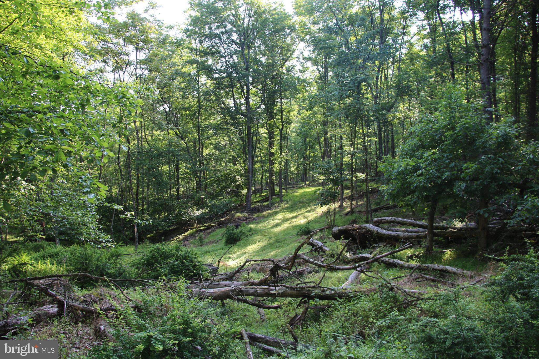 SILER HEIGHTS - Land