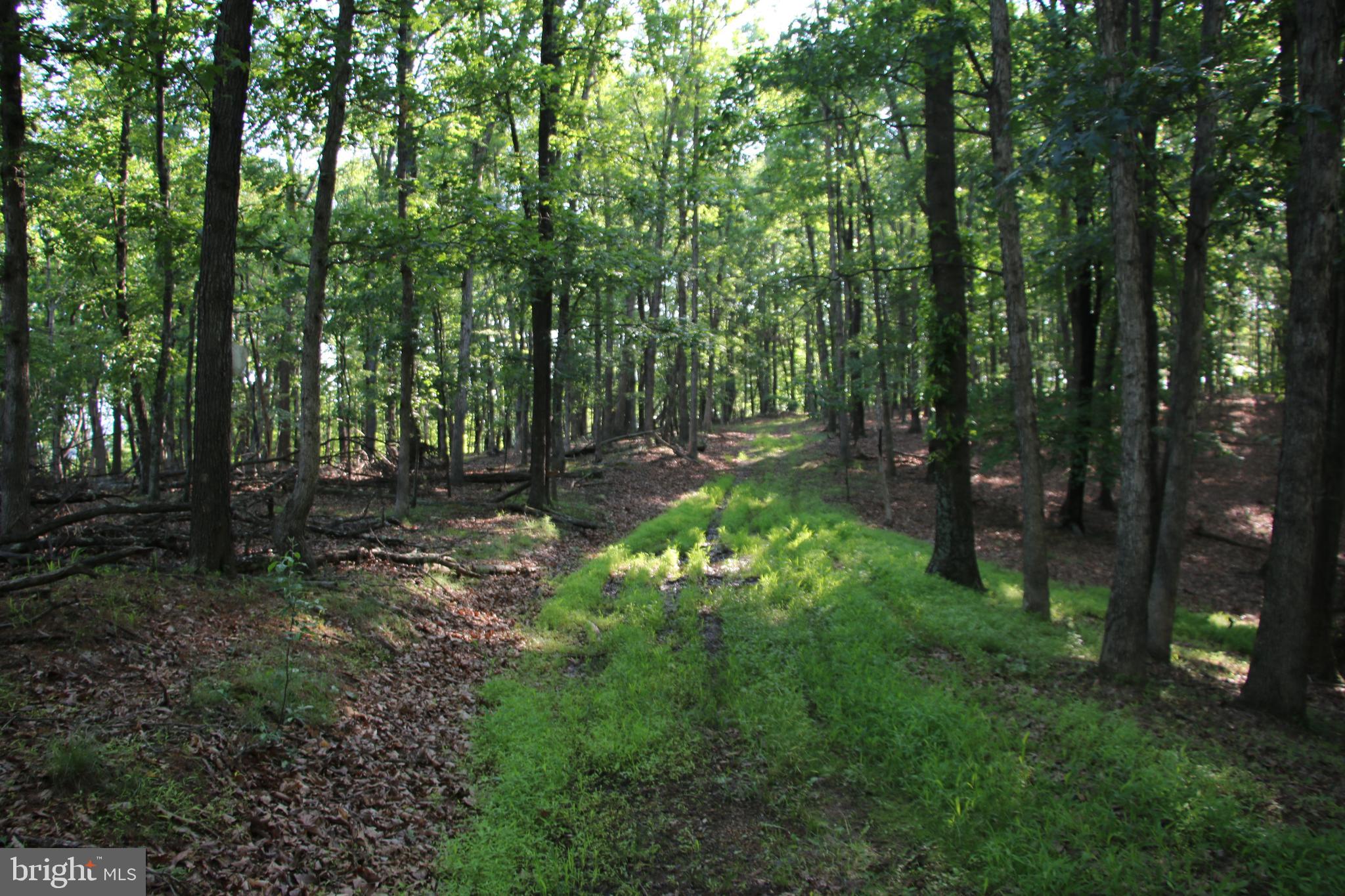 SILER HEIGHTS - Land