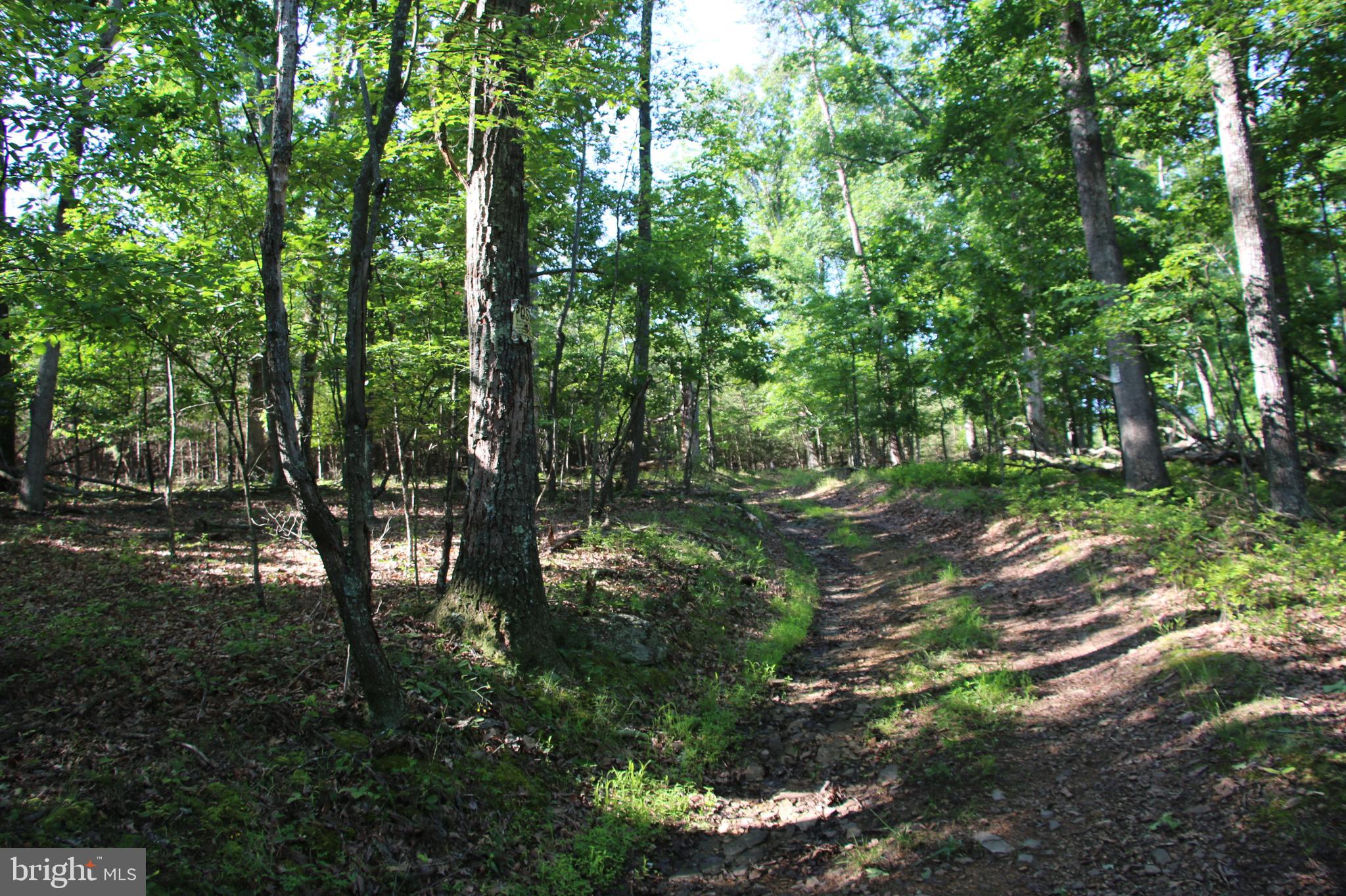 SILER HEIGHTS - Land