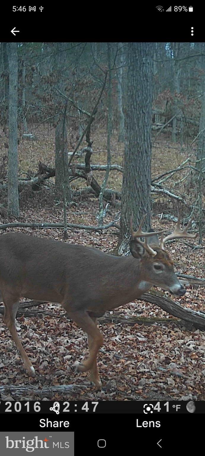 SILER HEIGHTS - Land