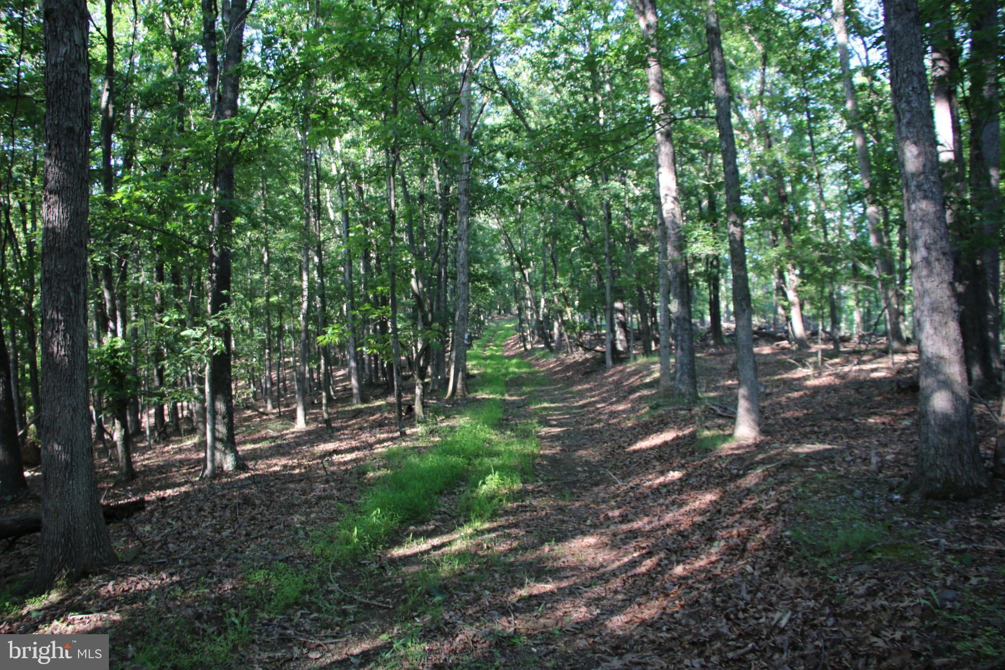 SILER HEIGHTS - Land