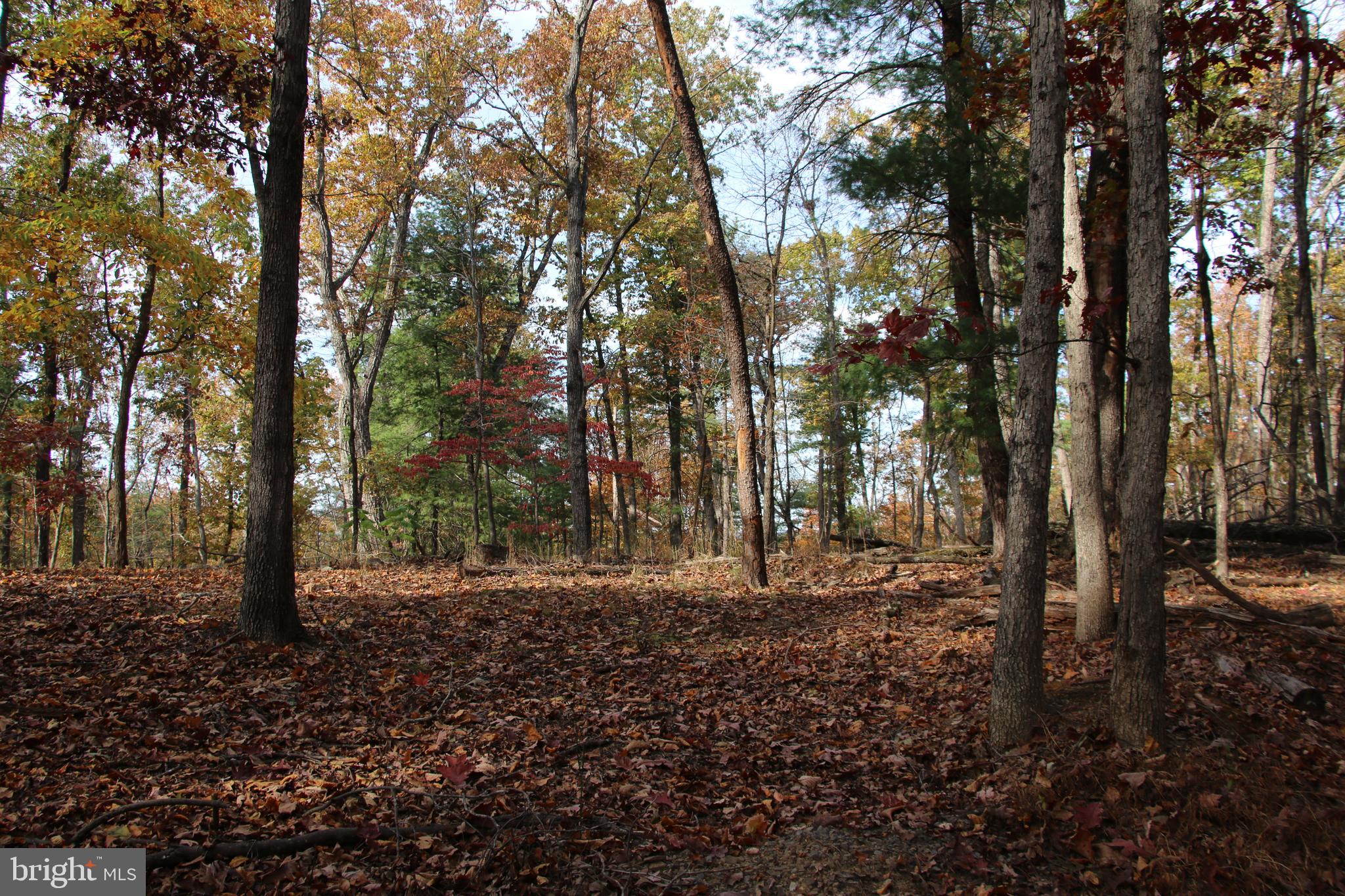 SILER HEIGHTS - Land