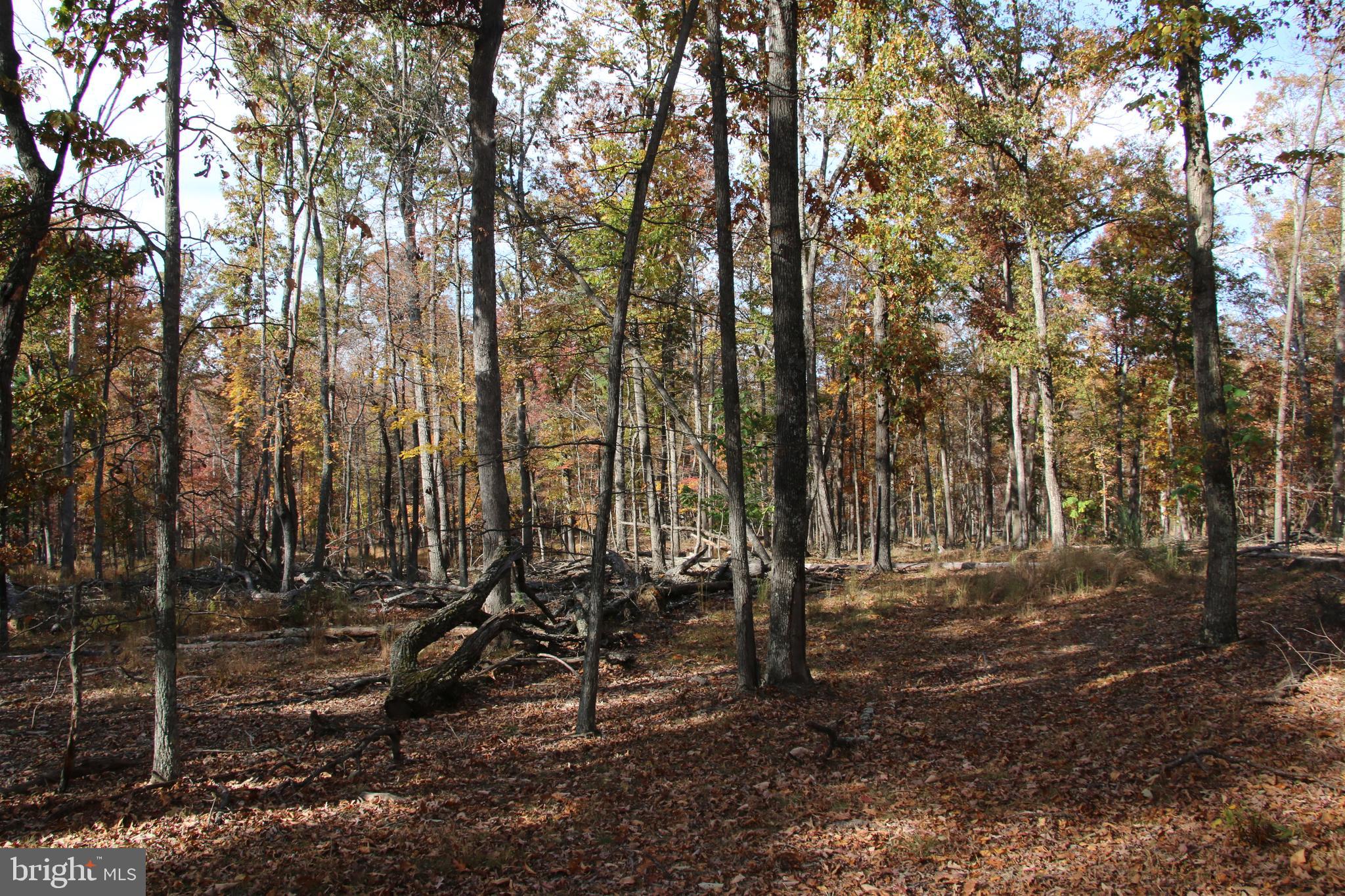 SILER HEIGHTS - Land