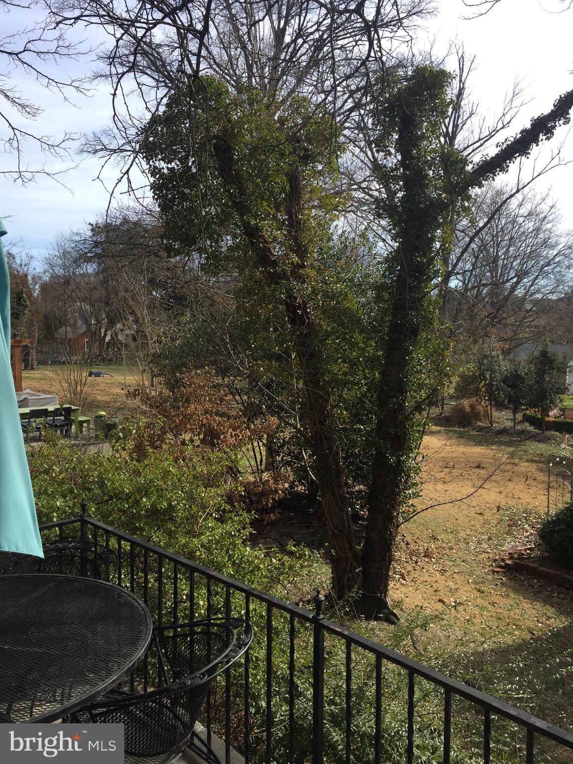 ALCOVA HEIGHTS - Residential