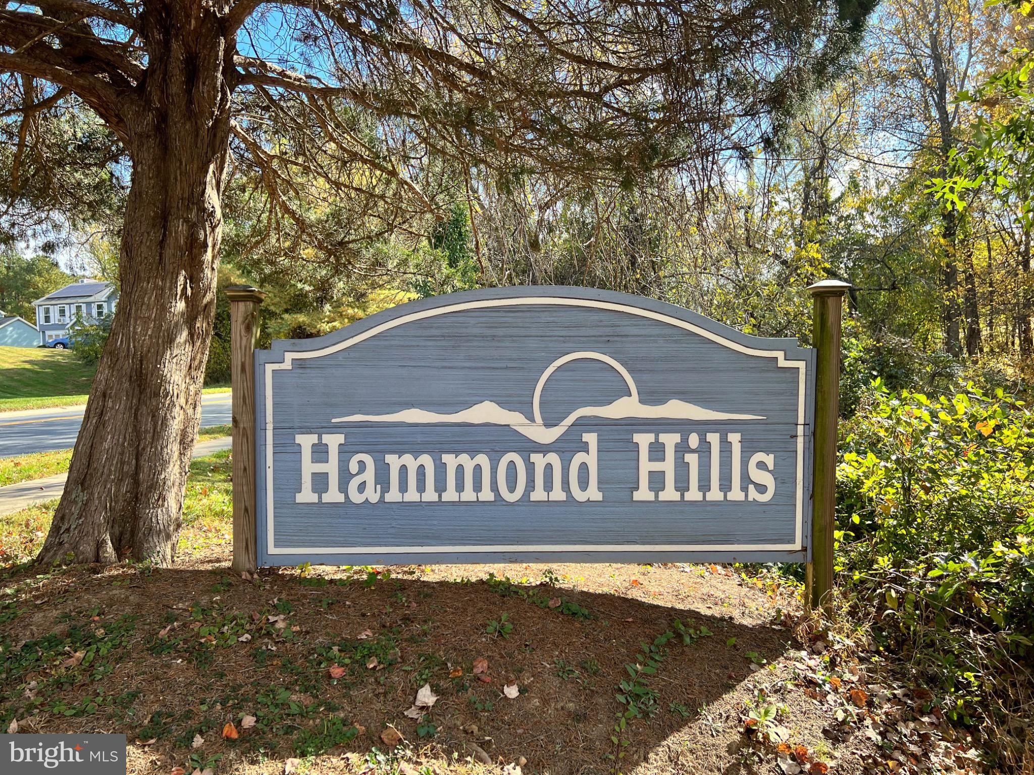 HAMMOND HILLS - Residential