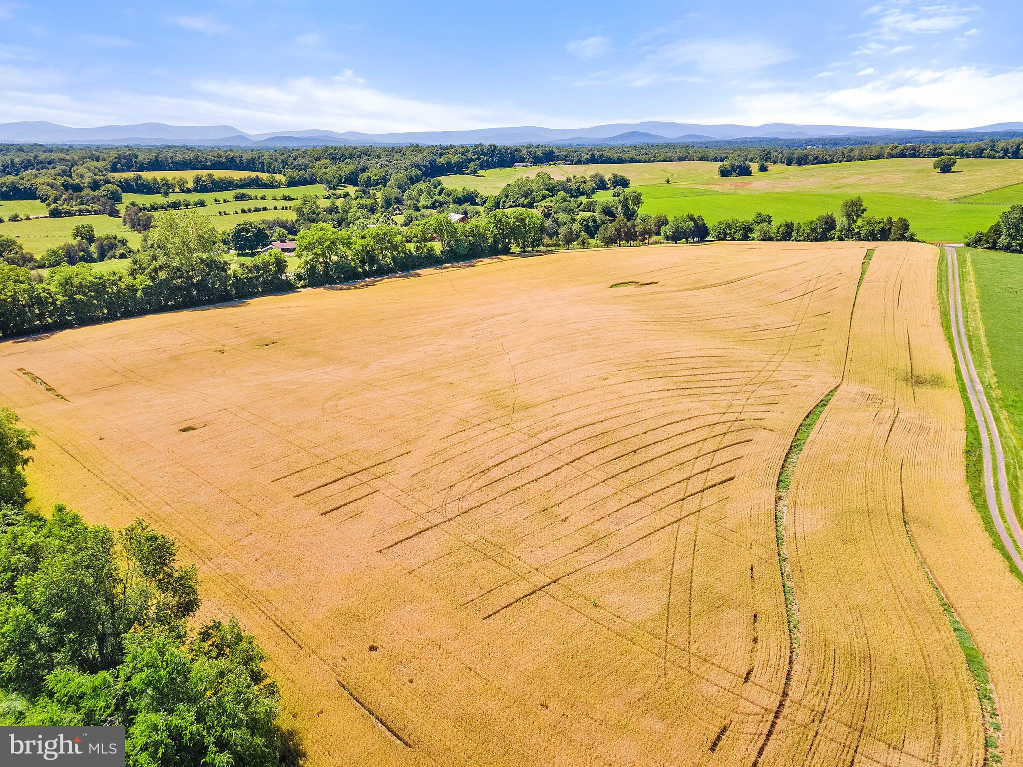 NONE AVAILABLE - Farm