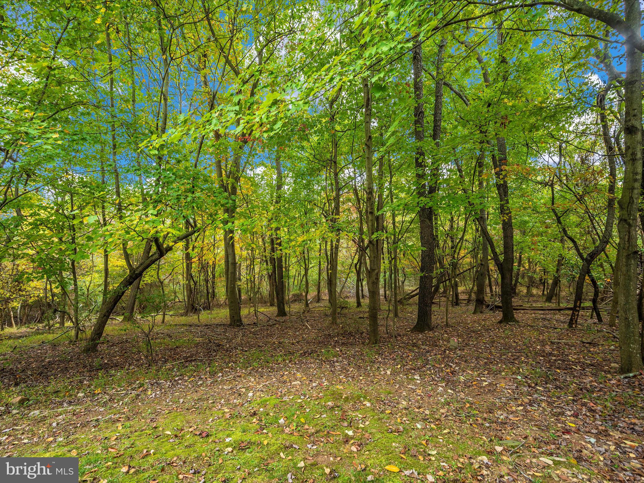 WOODRIDGE - Residential