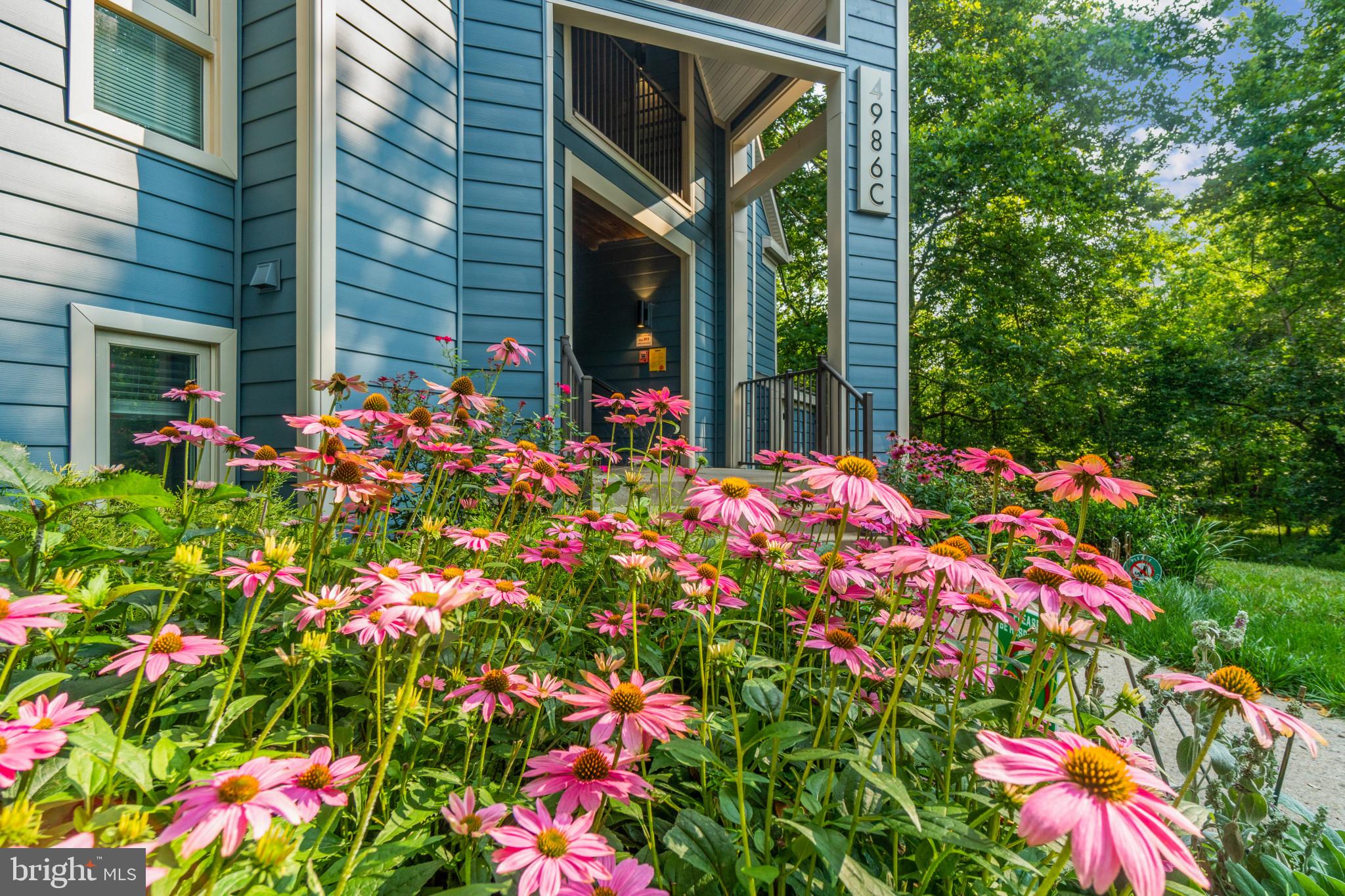 DORSEY HALL - Residential