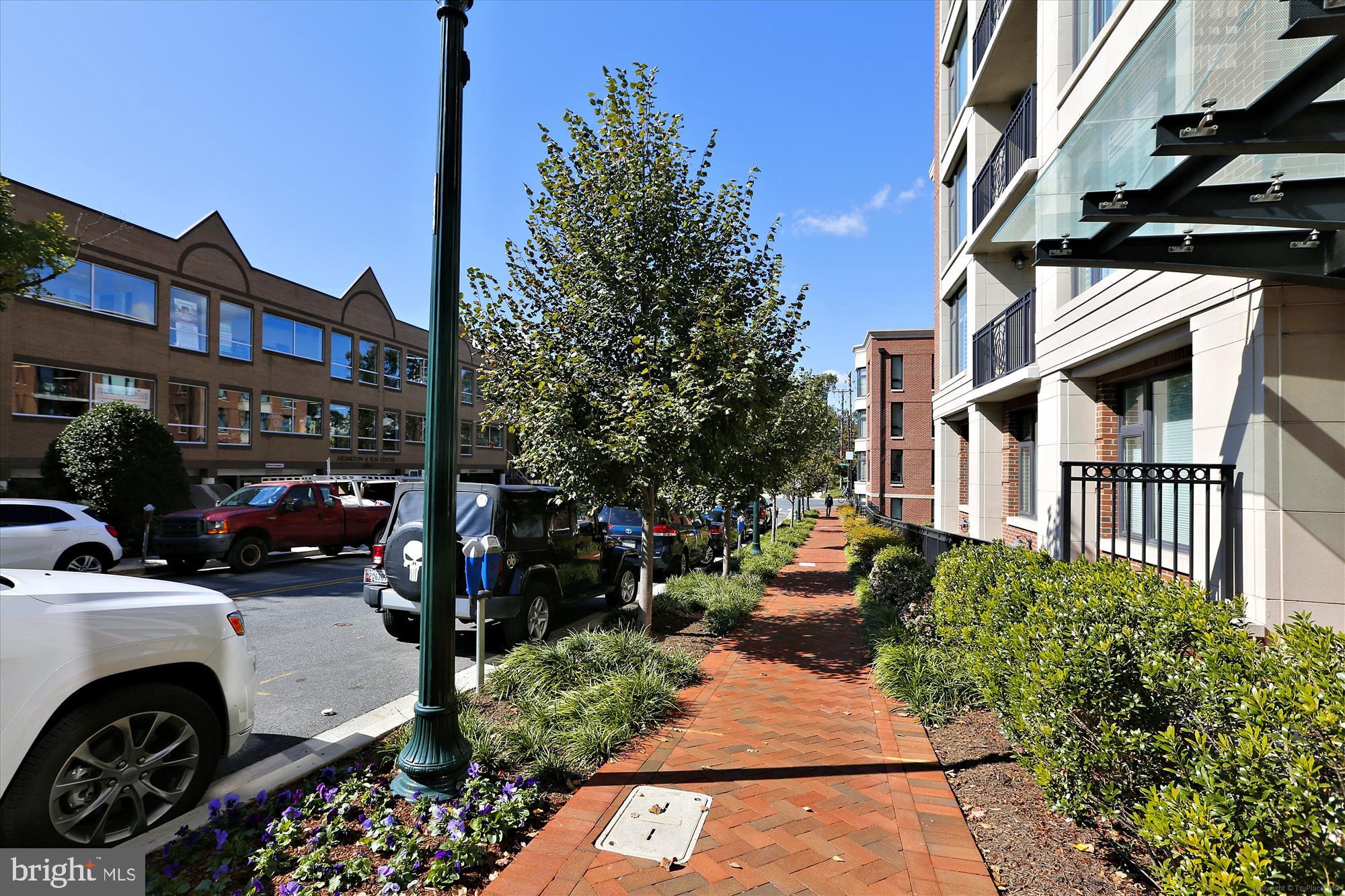 HAMPDEN ROW - Residential