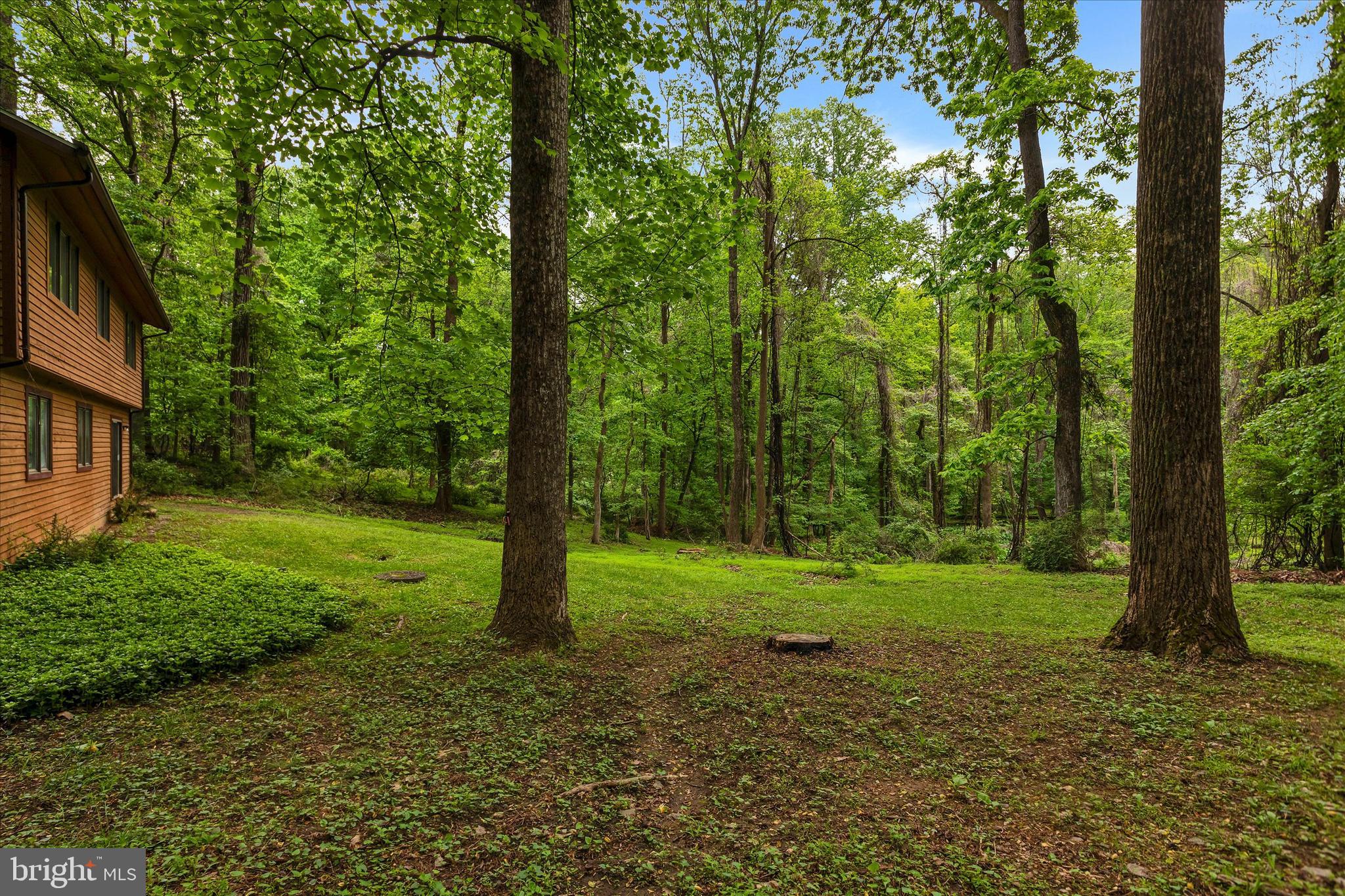 SAGAMORE FOREST II - Residential