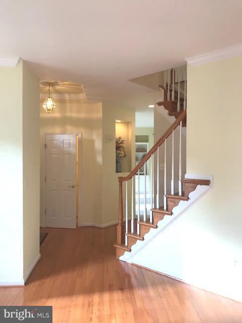 COOK INLET - Residential