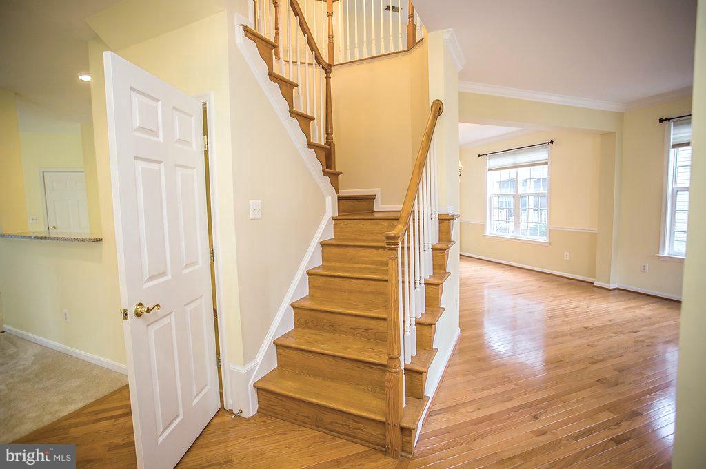 COOK INLET - Residential