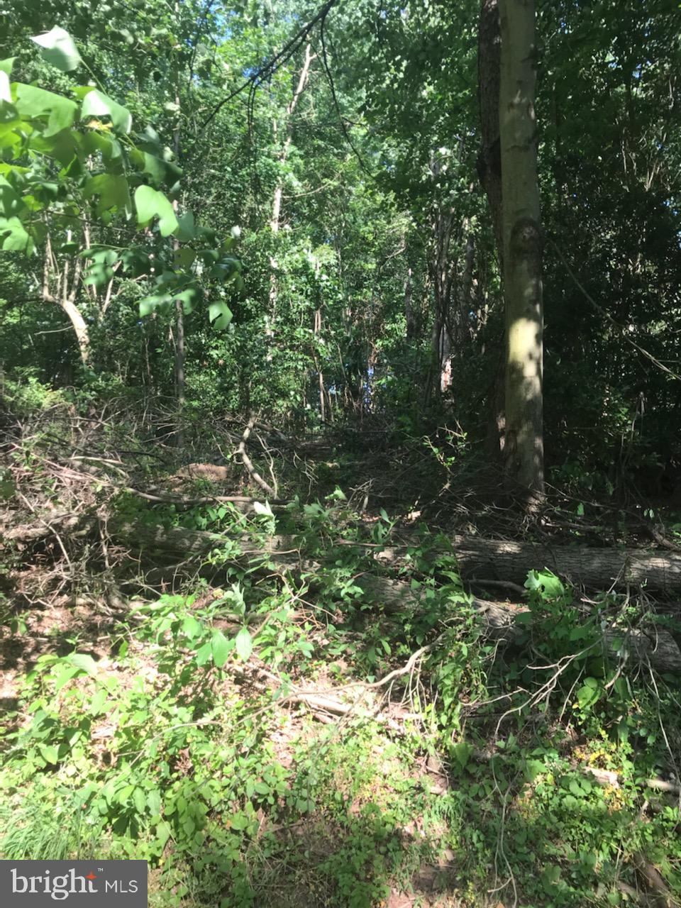 NONE AVAILABLE - Land