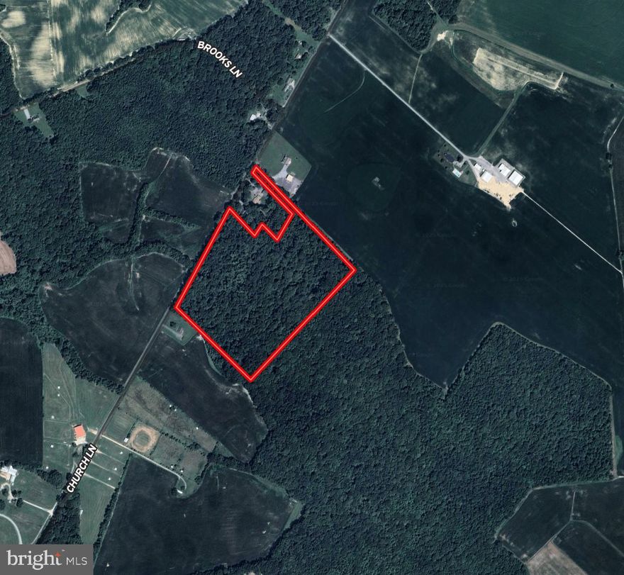 20  +/- acres located in Cordova Md. This property has a good mix of hardwoods and thicket ensuring quality habitat for whitetail deer and turkey. The neighboring property secured a positive perc test in 2010.
