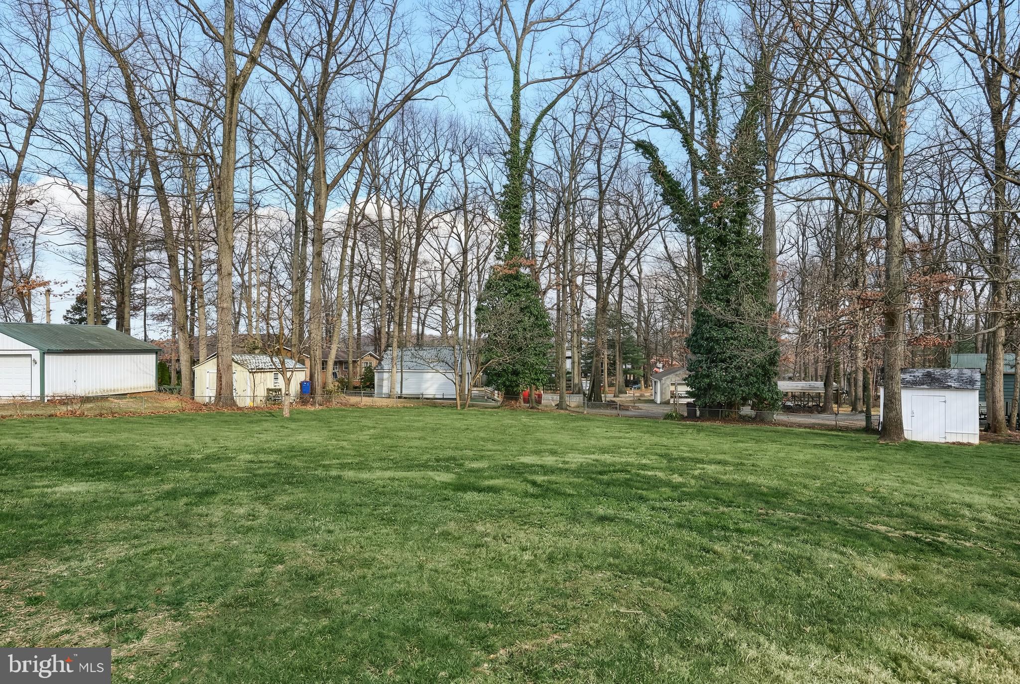 CHESTNUT HILL - Residential