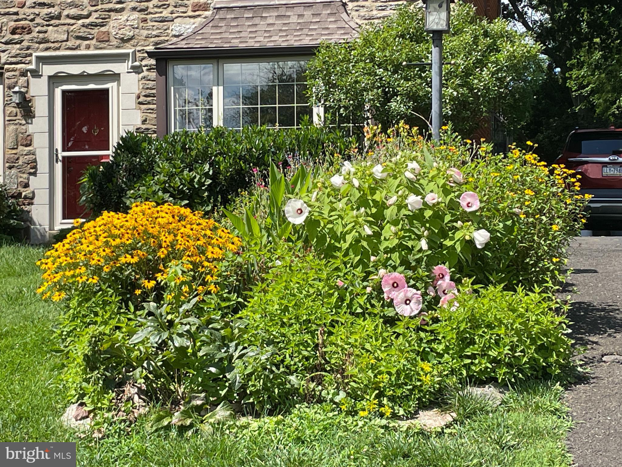 CHELTENHAM - Residential