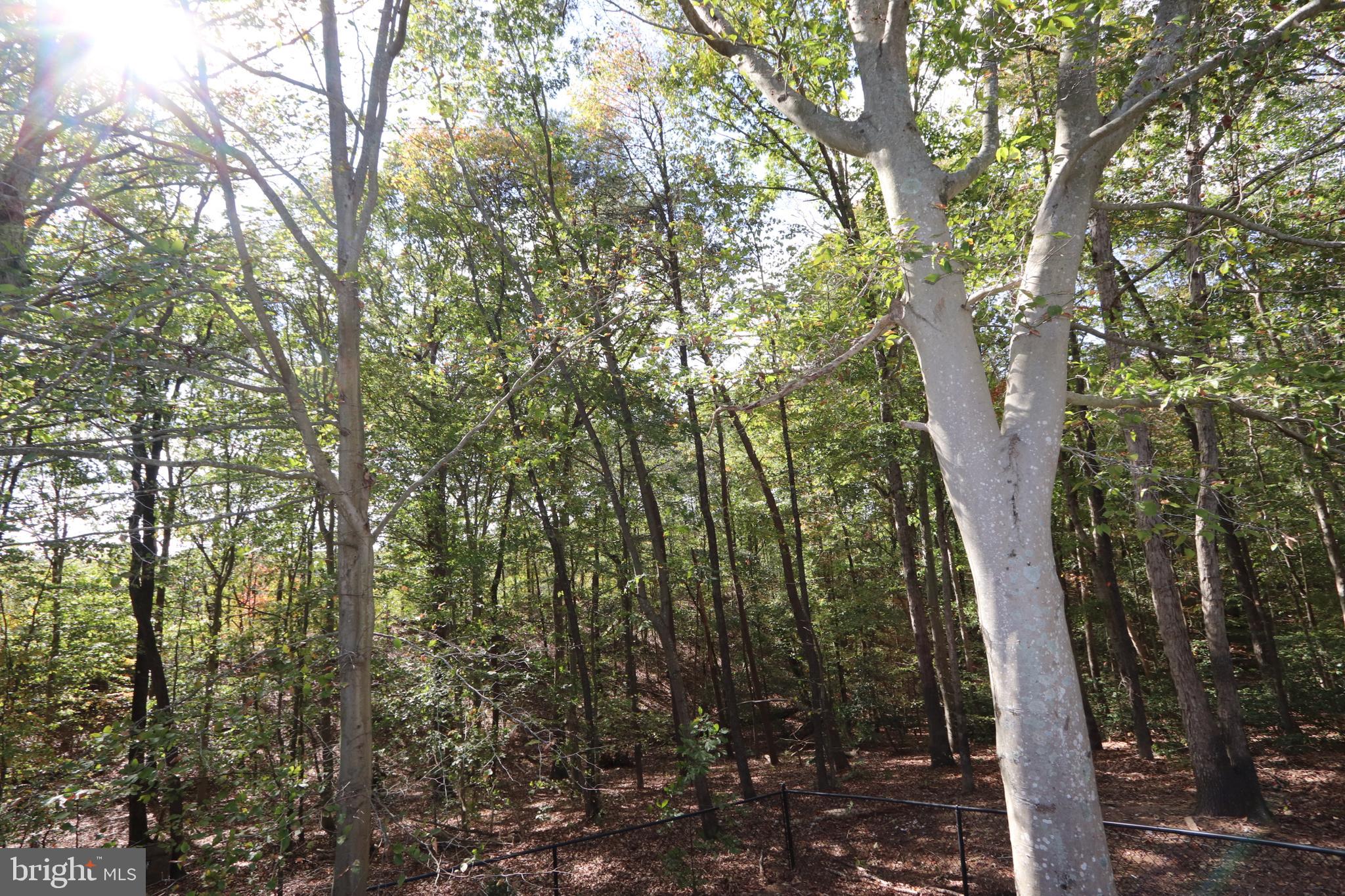 COLDSPRING LAKE - Residential