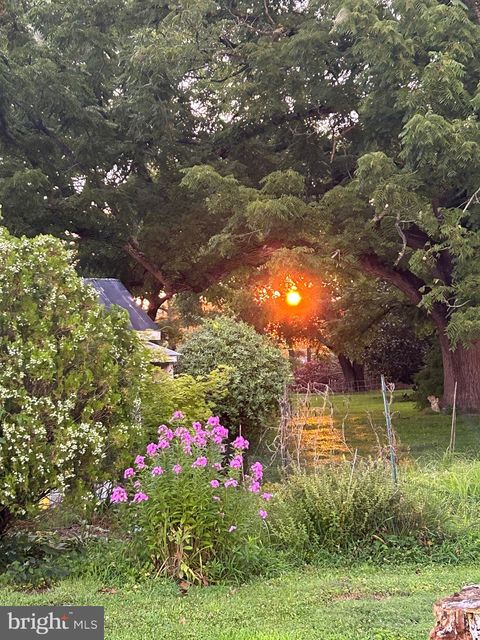listing image 106