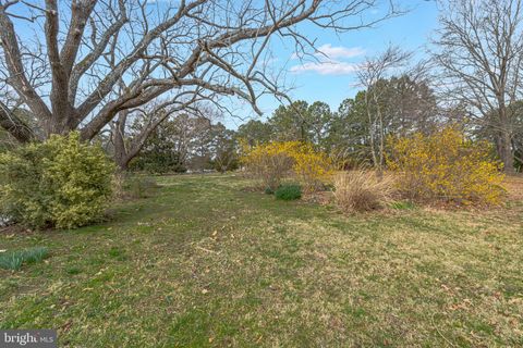 listing image 66