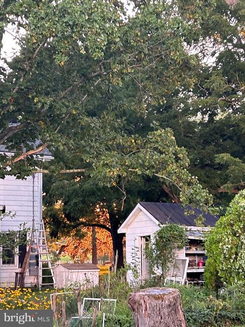 listing image 105
