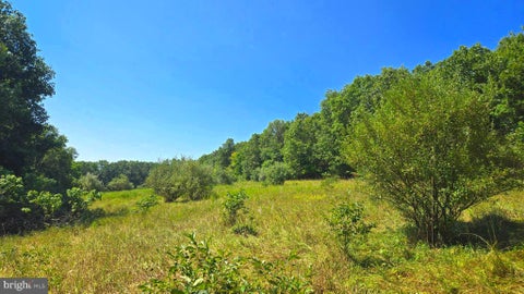 Featured picture for the property VAFV2020822