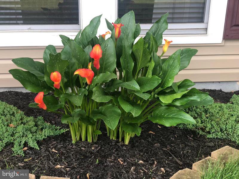 THE PROVINCES - Residential