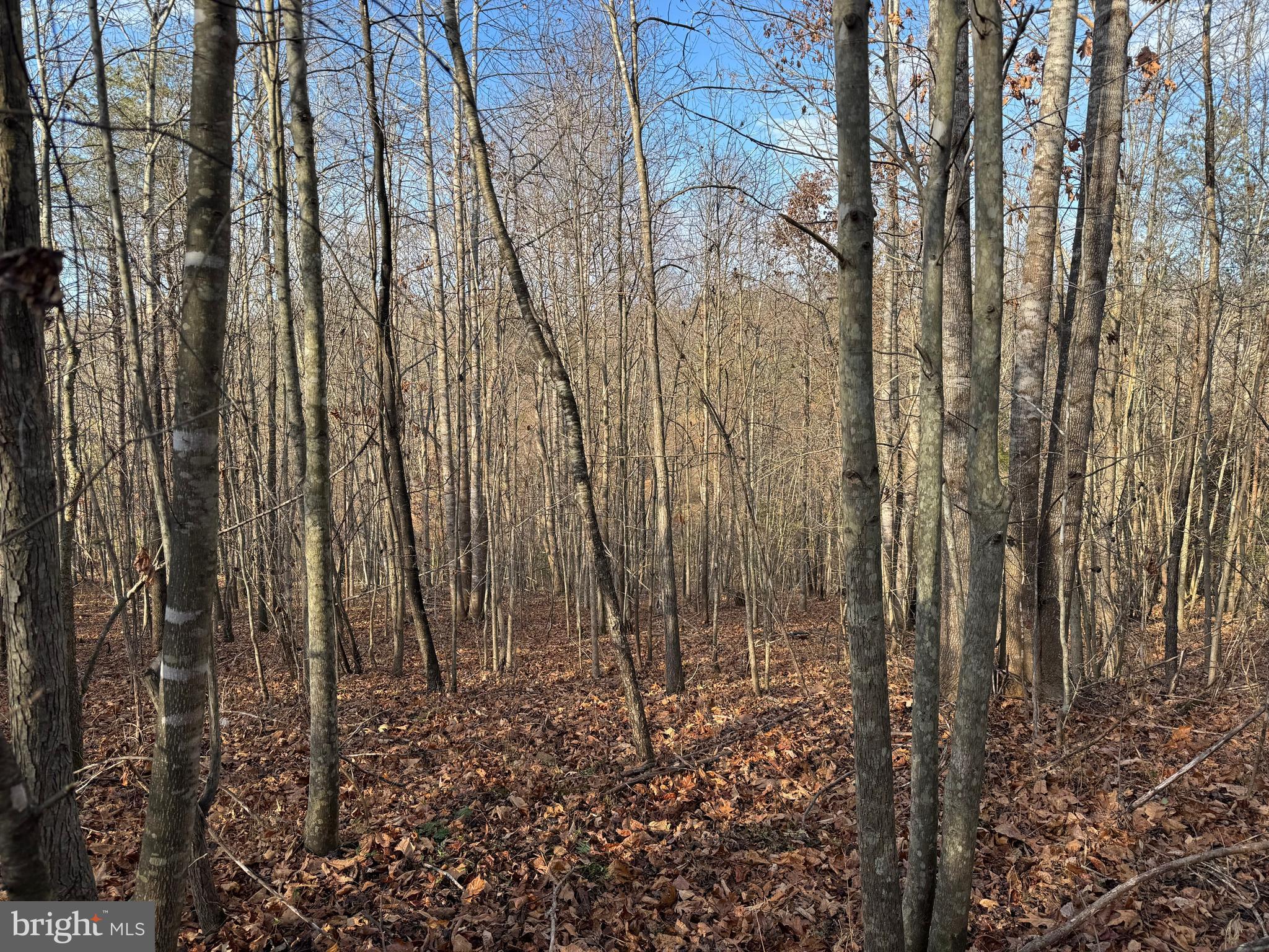 0 PEACE AND QUIET CIRCLE