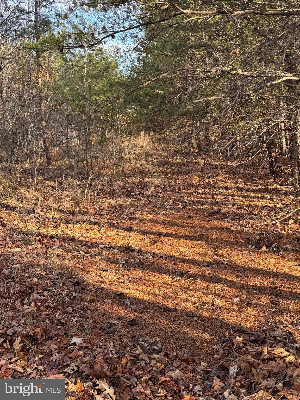 0 PEACE AND QUIET CIRCLE