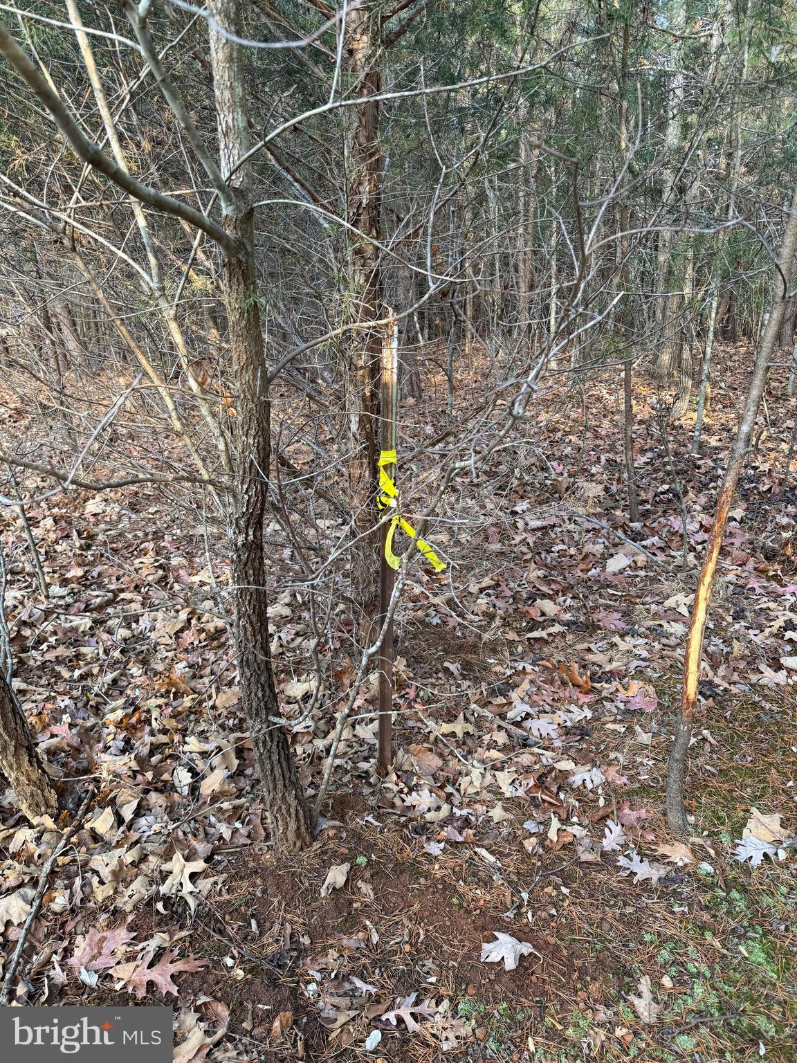 0 PEACE AND QUIET CIRCLE