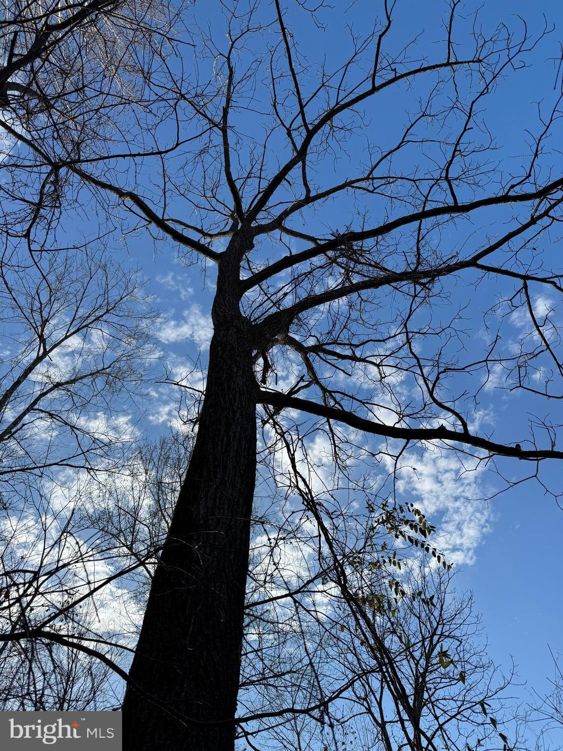 0 PEACE AND QUIET CIRCLE