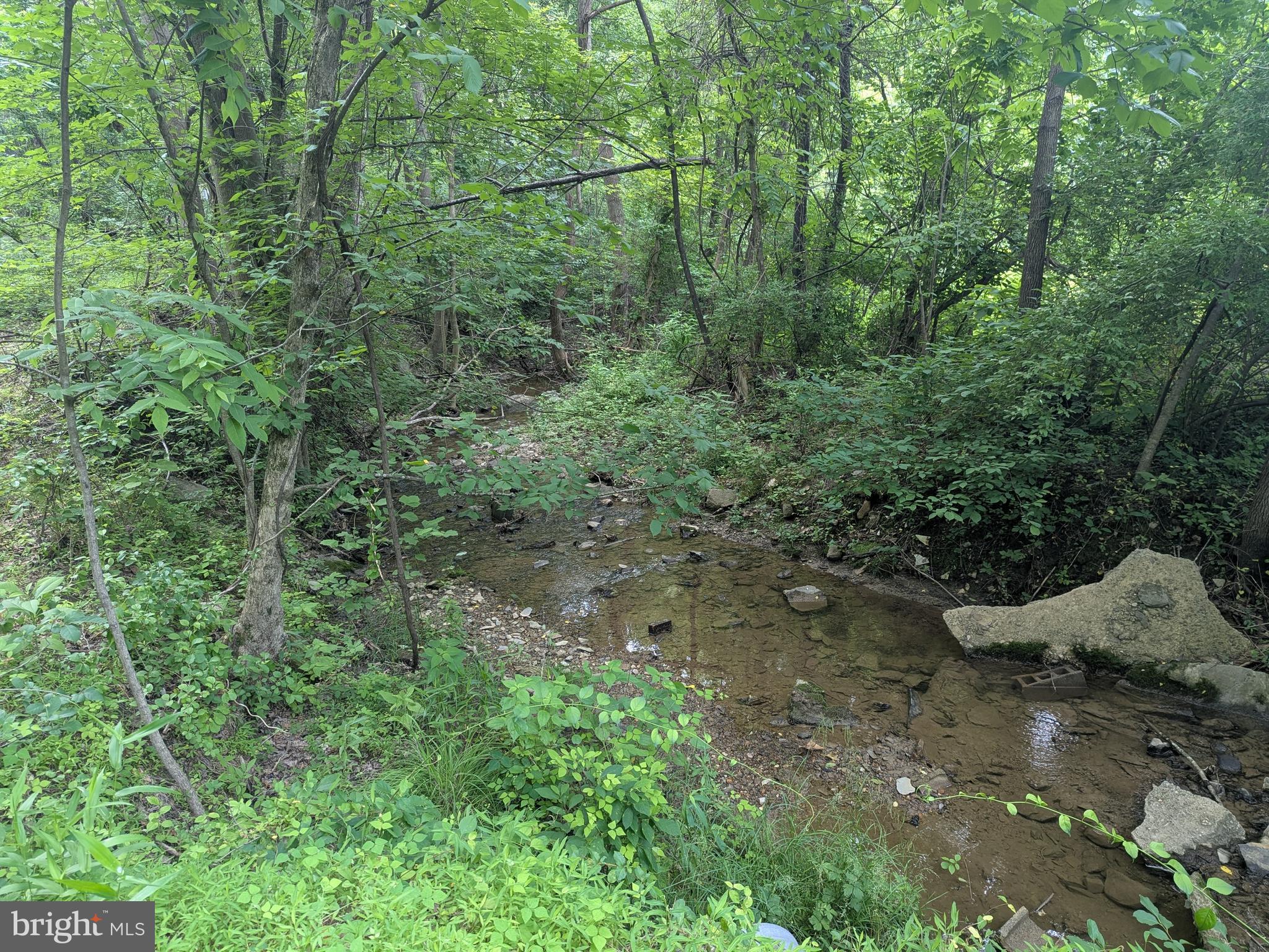 6.1 and 1.57 Acres CHESTNUT HILL ROAD