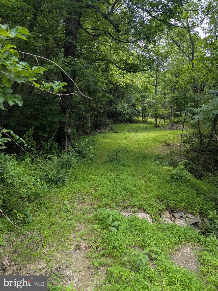 Two Lots that, with Jefferson County Planning and Zoning Approval, should be able to accommodate 4 lots TOTAL or use it as an unrestricted 7.67 Acre Retreat.  There is a 30 Foot Easement on the property connecting one other parcel.  Buyer to perform all their own due diligence to ensure they understand exactly what they have.  Cardinal Title is happy to help and has done substantial research on this project.  The Health Department Approved Perc Sites date 2008, but three were done then.  Seller says make a reasonable offer and we can make it happen!