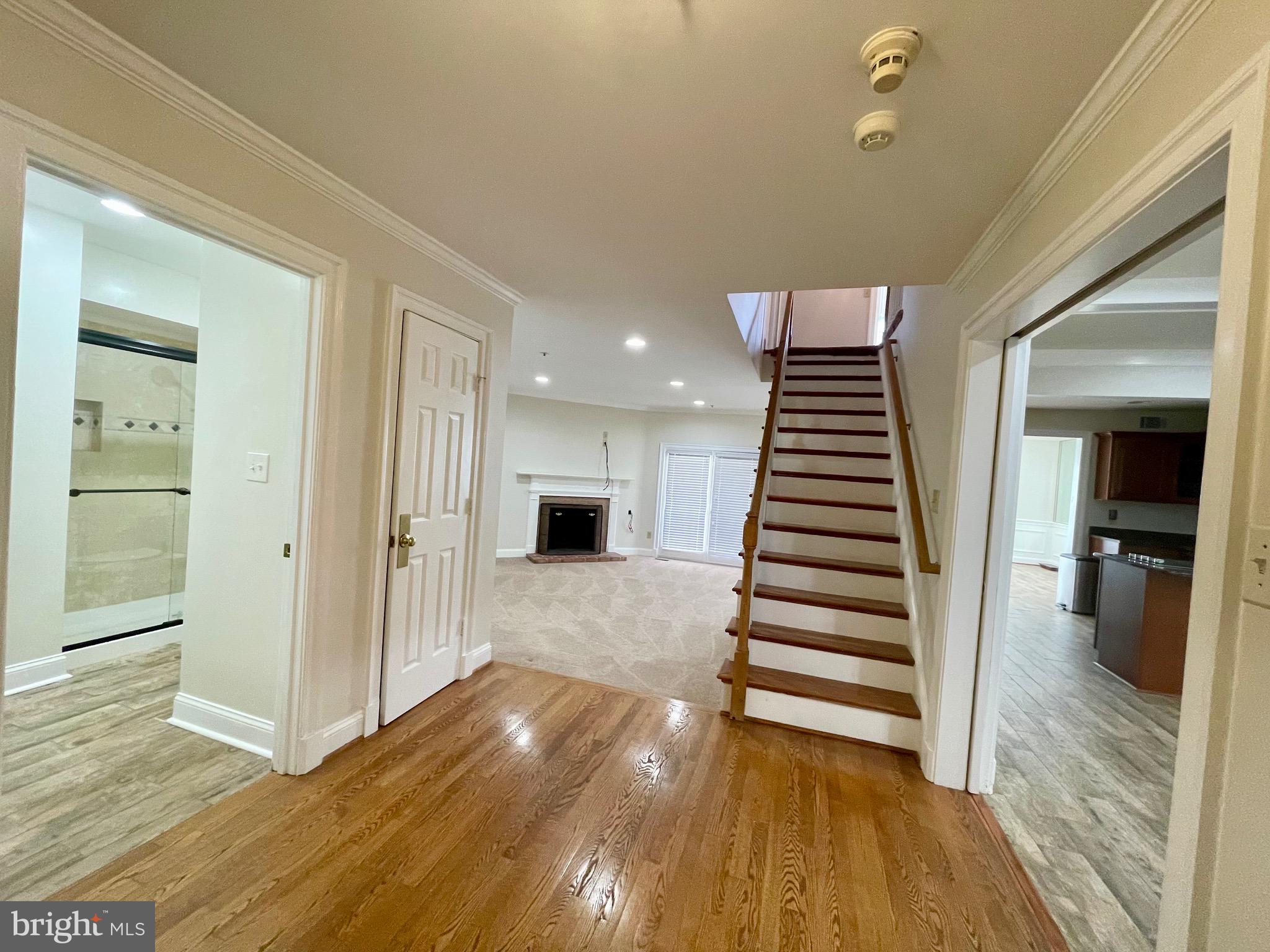 11803 BISHOPS CONTENT ROAD