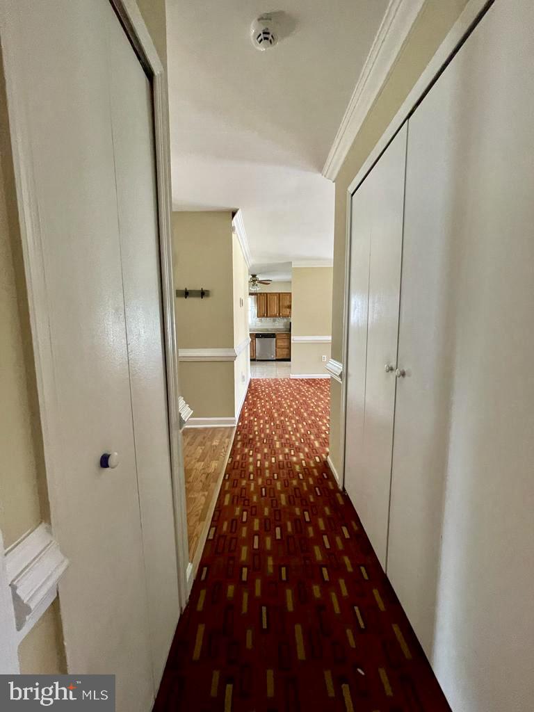 CAVALRY RUN - Residential Lease