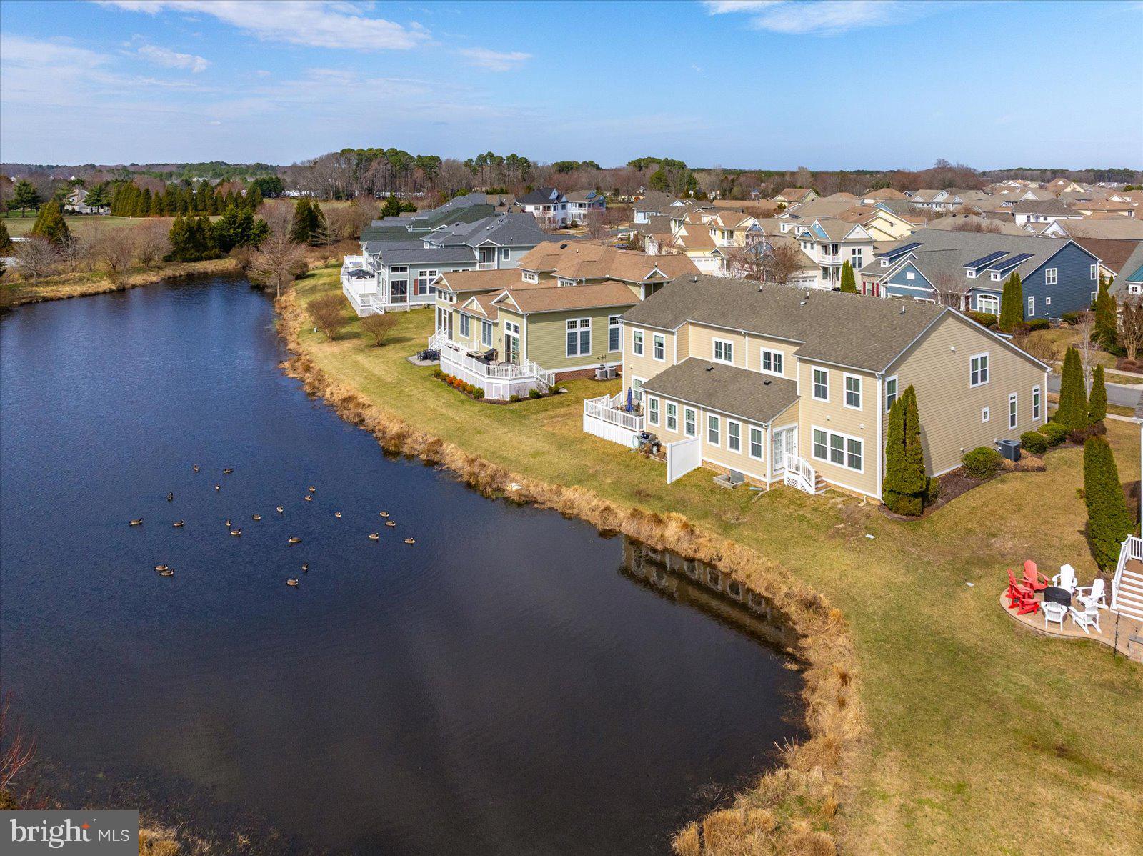 36316 SUNFLOWER BOULEVARD