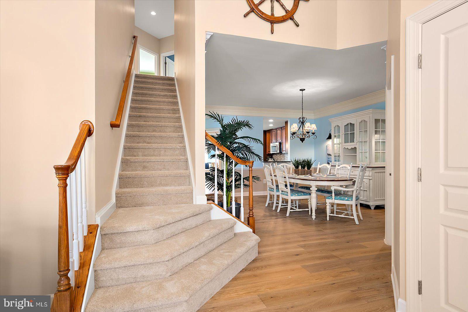 BAYSIDE - Residential