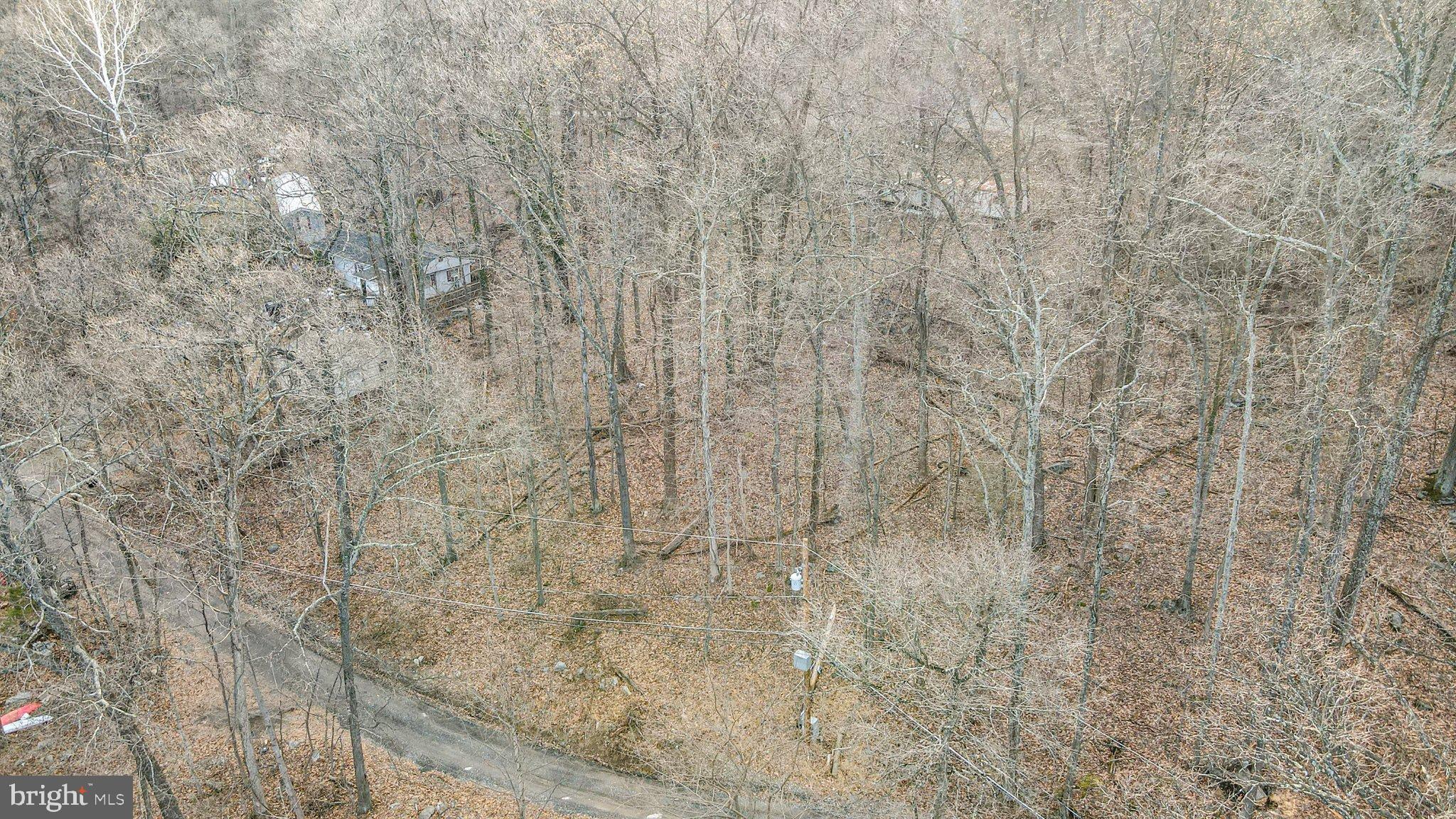 205-208 WOODPECKER LANE