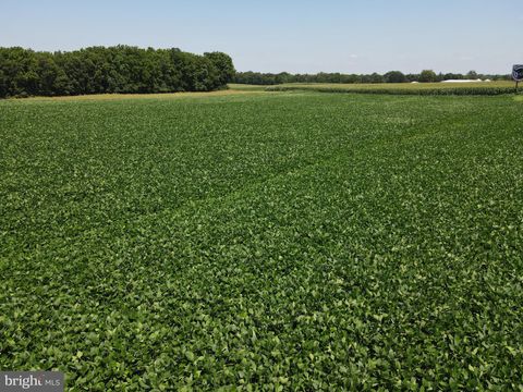 Photo of 0 Lancaster Road, MANHEIM, PA 17545 (MLS # PALA2075940)