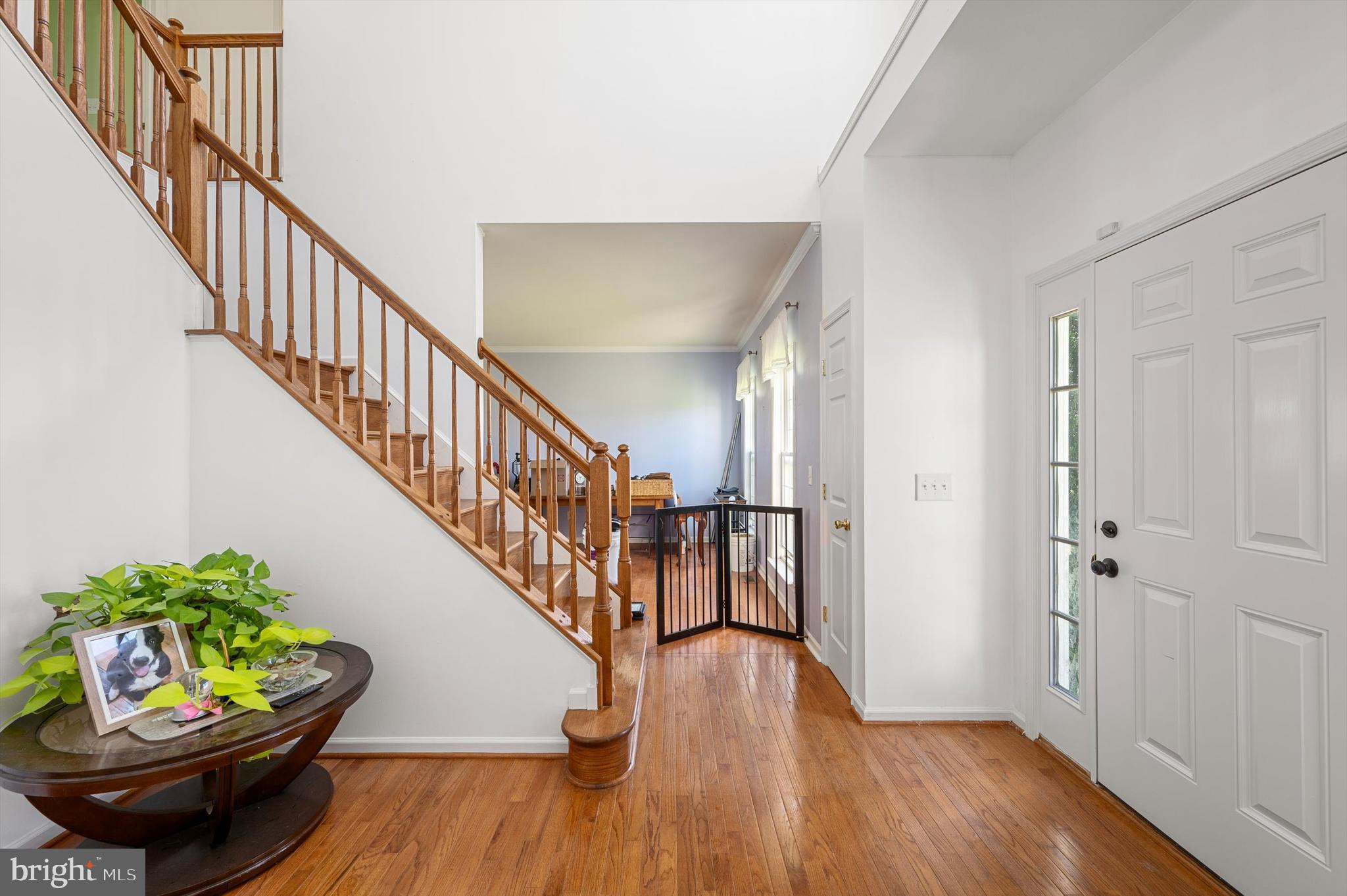 SPRUCE HILL ESTATES - Residential