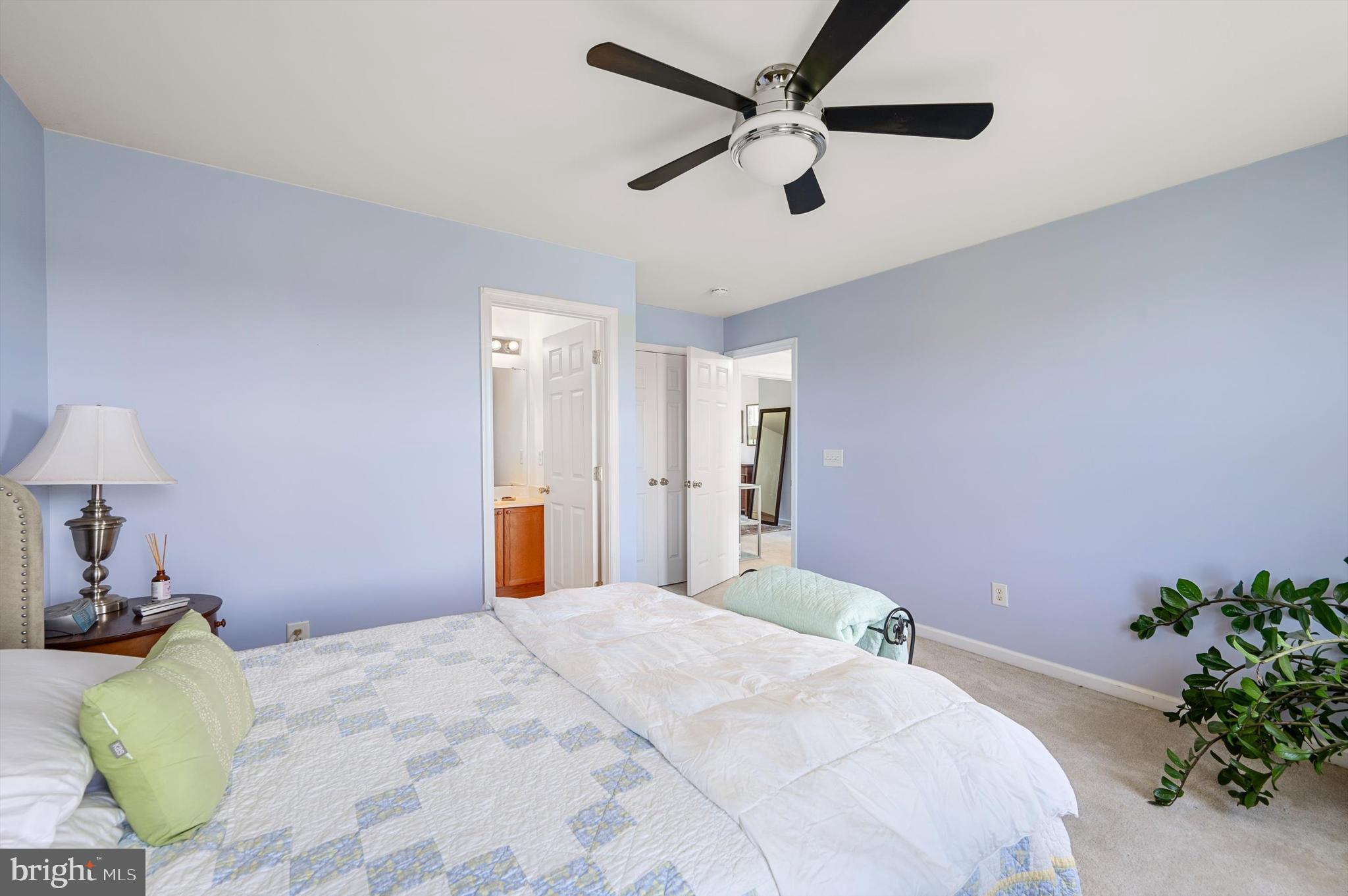 SPRUCE HILL ESTATES - Residential