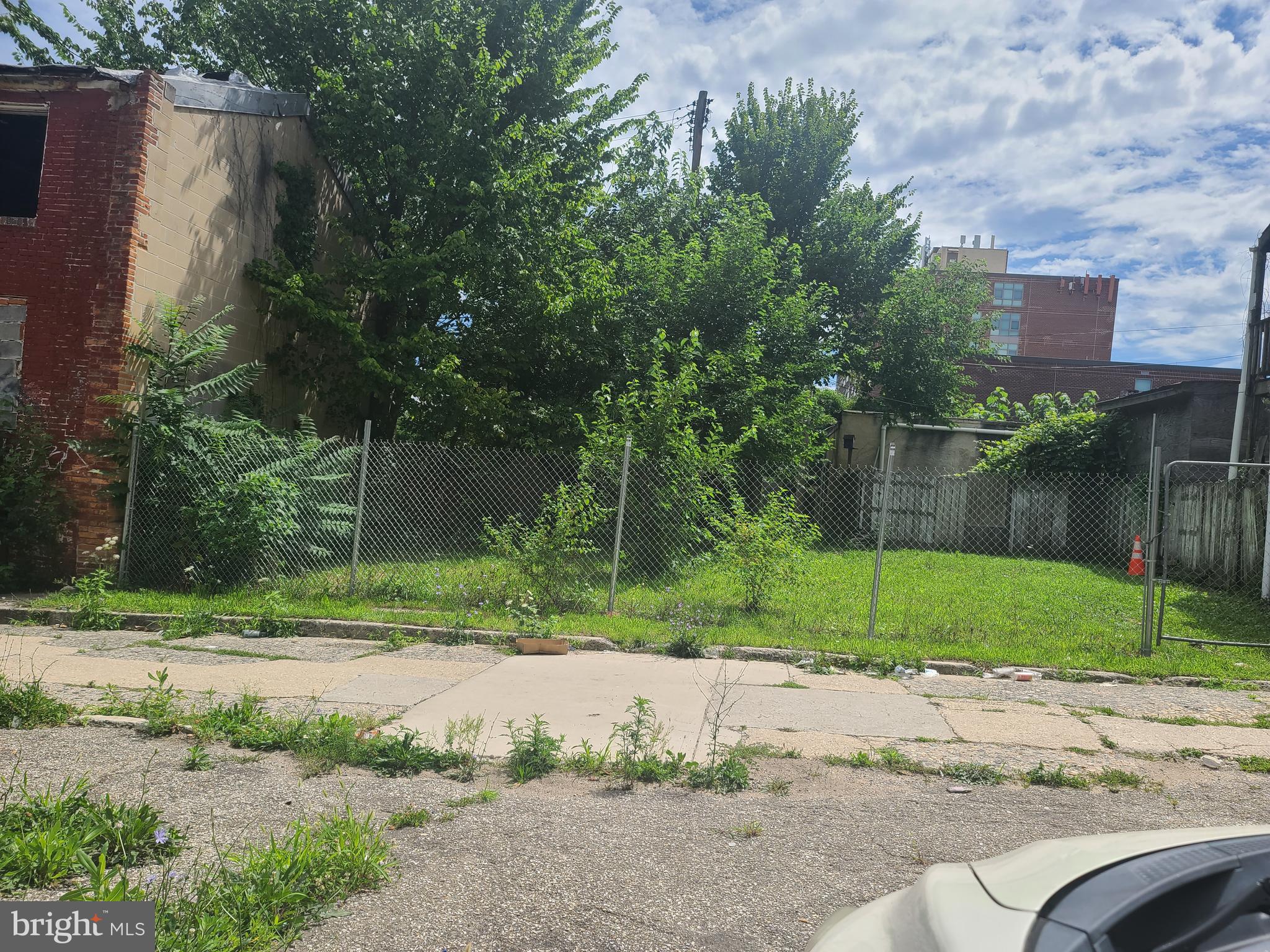 Main image without alt text