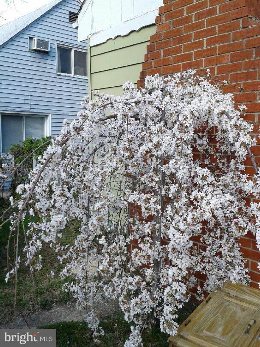 Location, Location, Location. This home has been well cared for the many years the owners have lived here.  Solid bones and ready for the large family with endless opportunity inside. The bathroom was recently updated and the carpets were cleaned. Fenced yard with a shed  and backs to woods. Parks and shopping with in walking distance and Very convenient to public transportation.