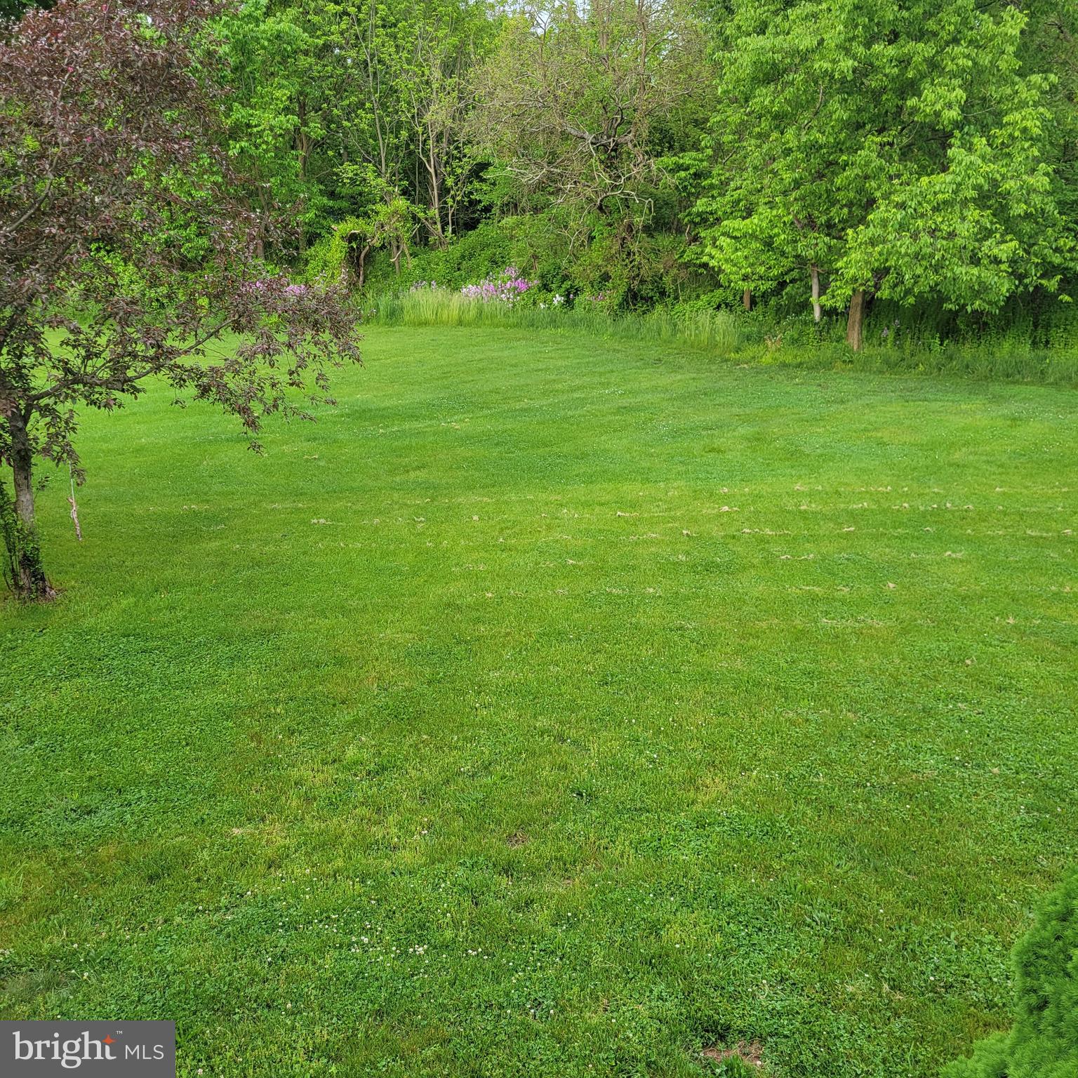 NORTHGATE - Residential