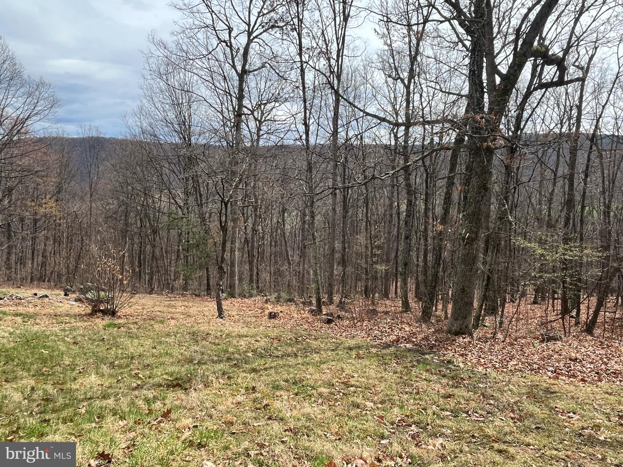 PEACEFUL VALLEY ESTATES - Residential